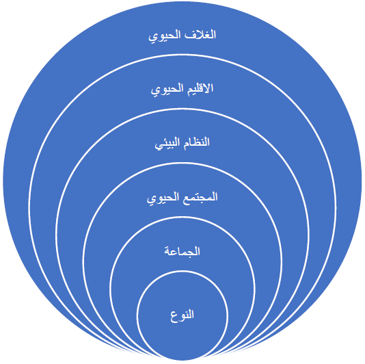 العلاقة بين النوع، والجماعة، والمجتمع الحيوي، والنظام البيئي، والإقليم الحيوي، والغلاف الحيوي